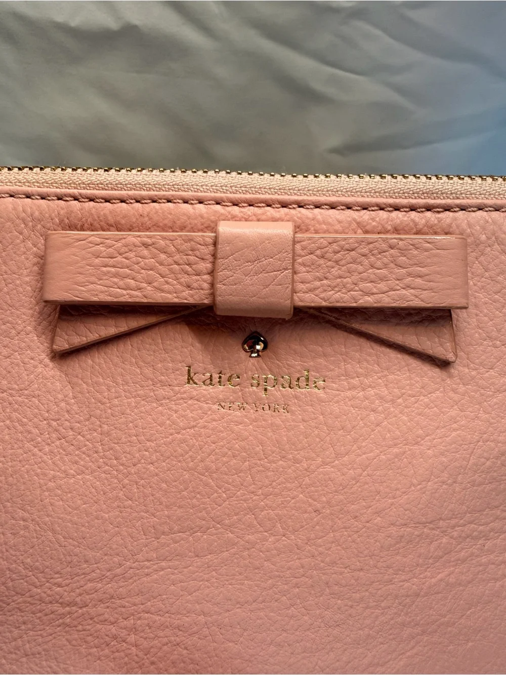 kate spade Pale Pink Leather Bow Crossbody